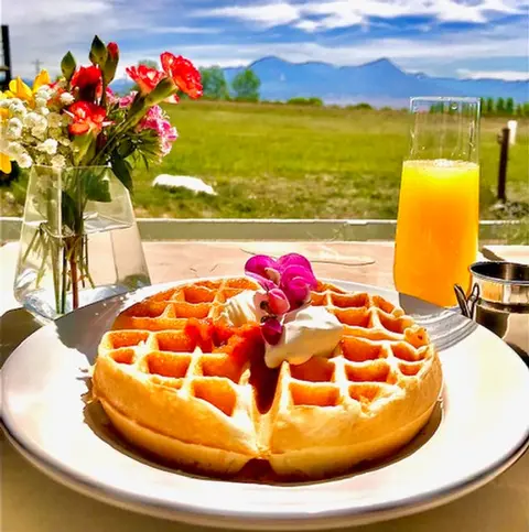 A freshly baked waffle with toppings sits on a table next to flowers and a drink, with a scenic view in the background.