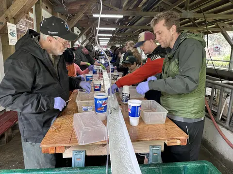 People stand along a long table working with small items and containers under a wooden structure.