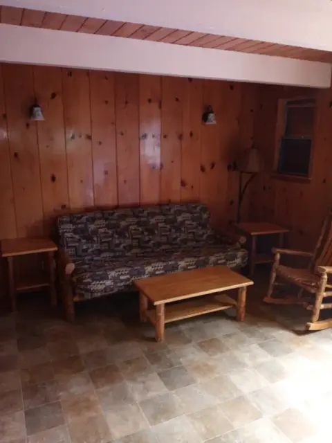 A rustic room with wood-paneled walls and a patterned sofa.