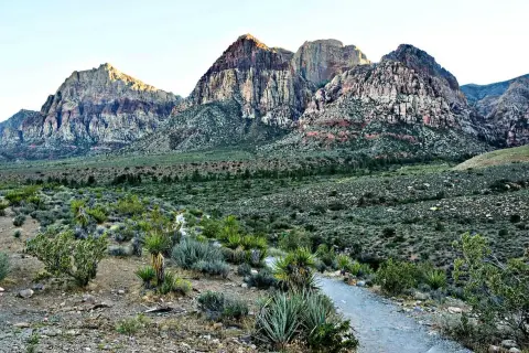 A dirt trail winds through desert scrub towards rugged mountains.