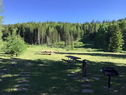 A picnic area with tables and a grill in a grassy clearing with a forest backdrop.