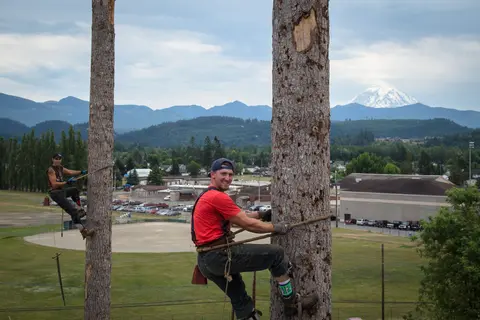 A man climbs a tall wooden pole outdoors with mountains visible in the distance.