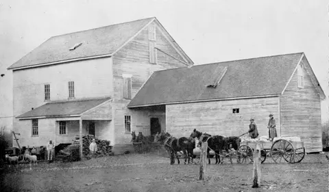 Historic black and white photograph showing a large wooden mill with horse-drawn wagons outside.