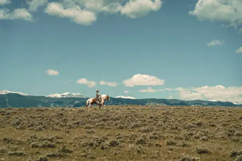 A person rides a horse across an open field with mountains in the background.