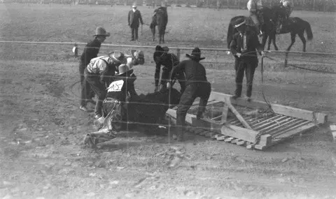 Black and white historic photograph of cowboys working with cattle outdoors.