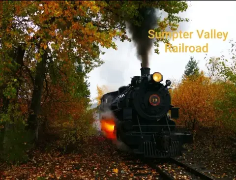 A steam locomotive travels through autumn foliage.