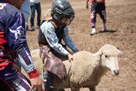 A child wearing a helmet and protective vest rides a sheep in a dirt arena.