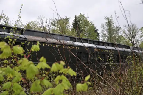 An old train car sits overgrown with bushes and trees.