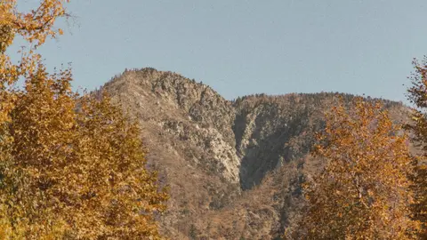 A rocky mountain framed by trees with autumn leaves.