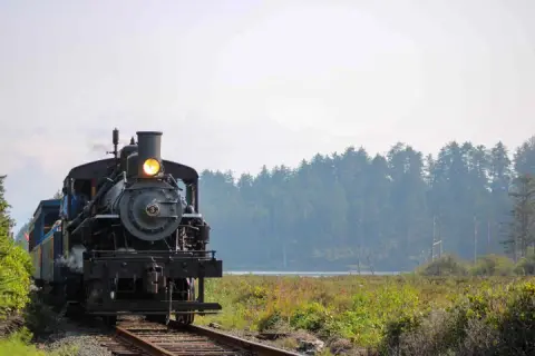 A steam train travels along tracks through a landscape with trees and water.