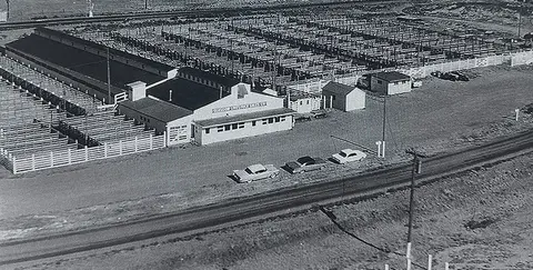 An aerial view of a livestock sales facility with extensive pens.
