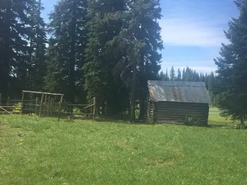 A rustic log cabin stands in a grassy clearing surrounded by tall pine trees.
