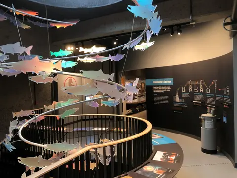 An indoor museum exhibit features a spiral installation of fish sculptures and an informational wall display.