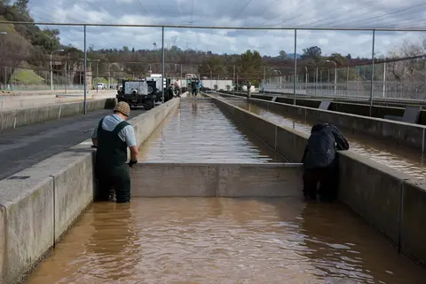 Raceways at Feather River Fish Hatchery.