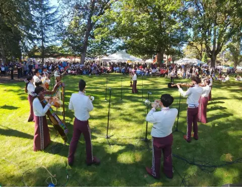 A mariachi band performs on a grassy lawn before a crowd of spectators.