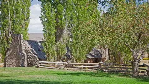 A rustic stone building is partially obscured by tall trees and a wooden fence.