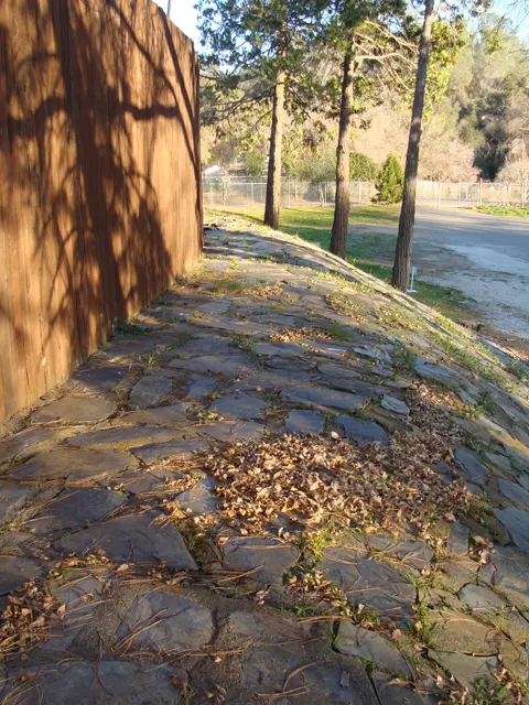 A stone walkway runs alongside a wooden fence with pine trees and foliage nearby.