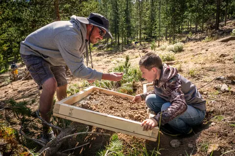 An adult and child sift dirt through a wooden screen in a forest.
