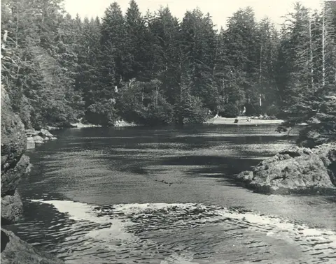 A historic black and white photo of a river surrounded by a dense forest.