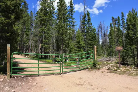 A green metal gate blocks a dirt road in a forest.