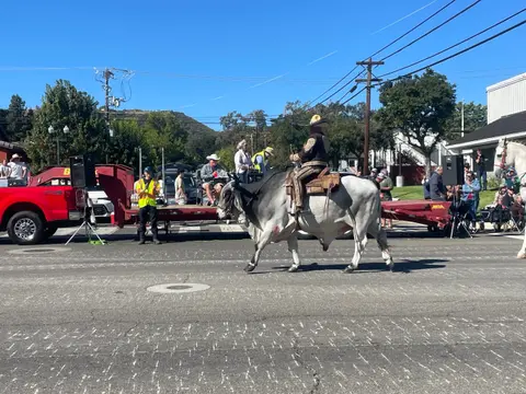 A person rides a large bull down a street during a parade.