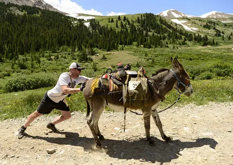 A man pushes a packed donkey along a mountain trail.