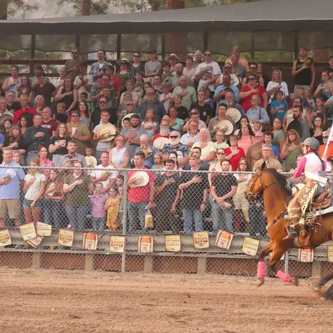 A rider on a horse runs past a large crowd of spectators at a rodeo event.