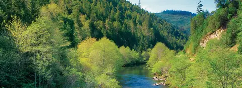 A river flows through a densely forested valley.