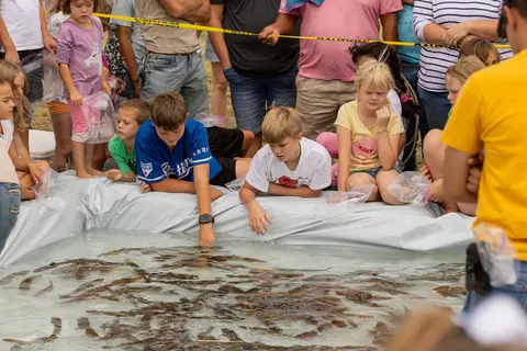 Children and adults gather around a pool filled with fish.