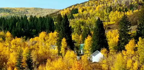 A forest landscape with colorful autumn foliage and evergreen trees surrounding a small building.