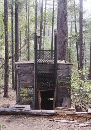 A weathered wooden structure stands among tall trees in a forest.