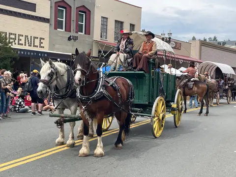Two people ride in a horse-drawn wagon during a street parade.