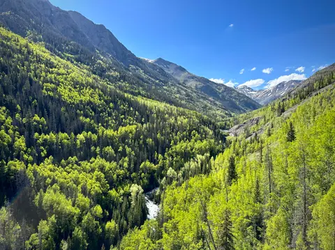 A scenic mountain valley filled with lush green forests and a river.