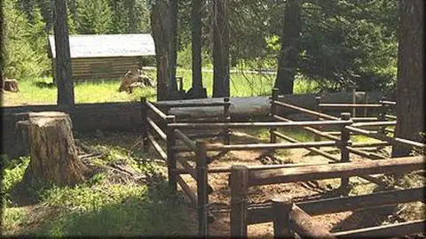 A wooden corral stands in a forest near a small cabin.