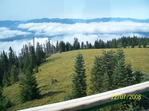 A scenic view of a grassy slope and distant mountains above a layer of clouds.
