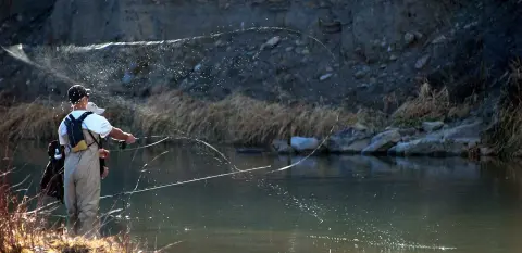 A person fly fishing in a river.