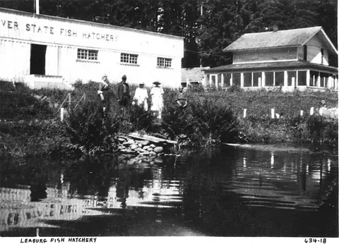 Historic black and white photograph showing a fish hatchery building and a house near water with people standing outside.