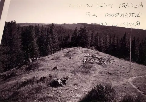 A historic photo showing a grassy hillside with a wooden structure and a forest.