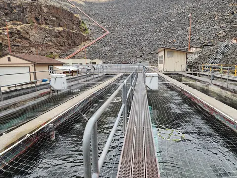 An outdoor fish hatchery with long raceways and a rocky hillside in the background.
