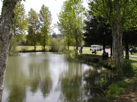 A small pond surrounded by green trees and grassy areas with people fishing.