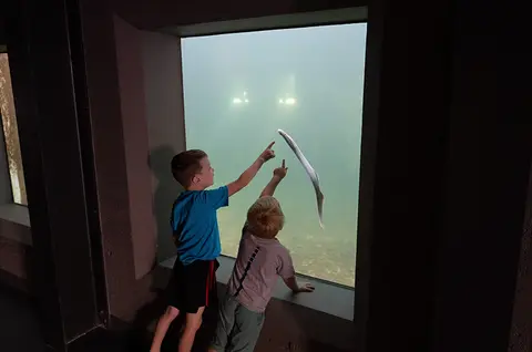 Two children look at a fish through a large aquarium viewing window.