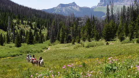 People ride horses along a trail through a mountain meadow.