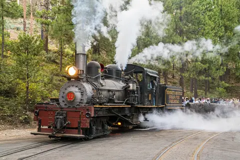 A steam locomotive travels on tracks through a forest, emitting smoke.