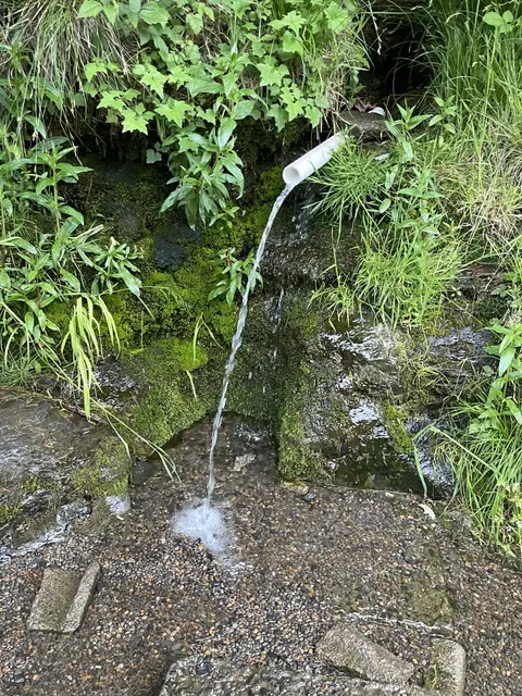 Water flowing from a pipe out of a mossy bank into a small pool.