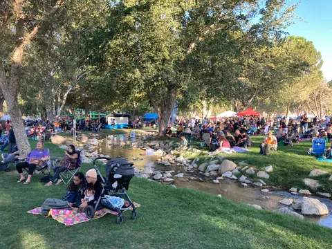People relaxing in a park by a stream during an outdoor event.