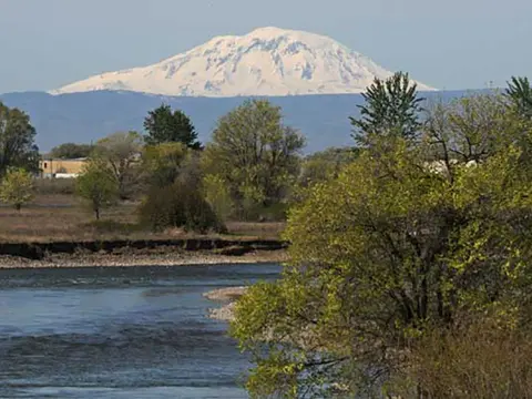 A landscape photo of a snow-capped mountain behind a river and trees.