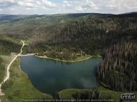 Aerial view of a mountain lake surrounded by dense evergreen forests and a winding road.