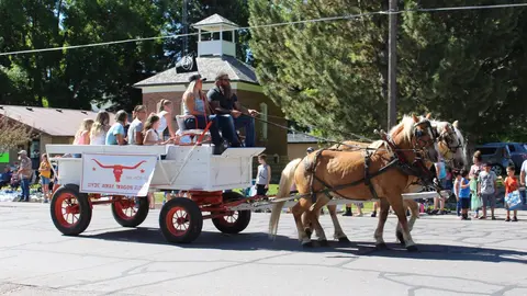 Two horses pulling a white wagon filled with people in a parade.