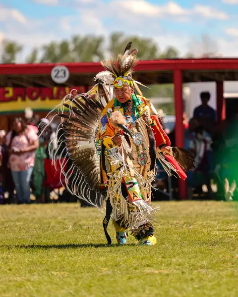 A person in elaborate traditional ceremonial regalia dances on a grassy field.