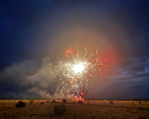Fireworks bursting over a dark landscape at night.